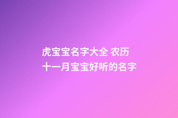 虎宝宝名字大全 农历十一月宝宝好听的名字